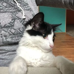 Meet your Posher, Crystal